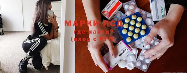 PSILOCYBIN Аркадак