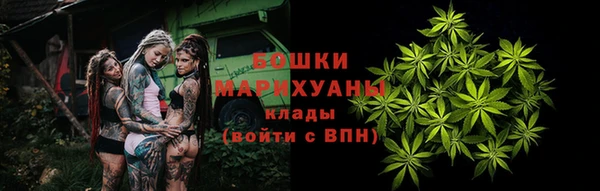 PSILOCYBIN Аркадак