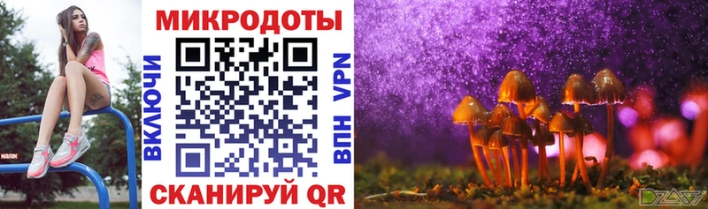 Псилоцибиновые грибы MAGIC MUSHROOMS  Темников 